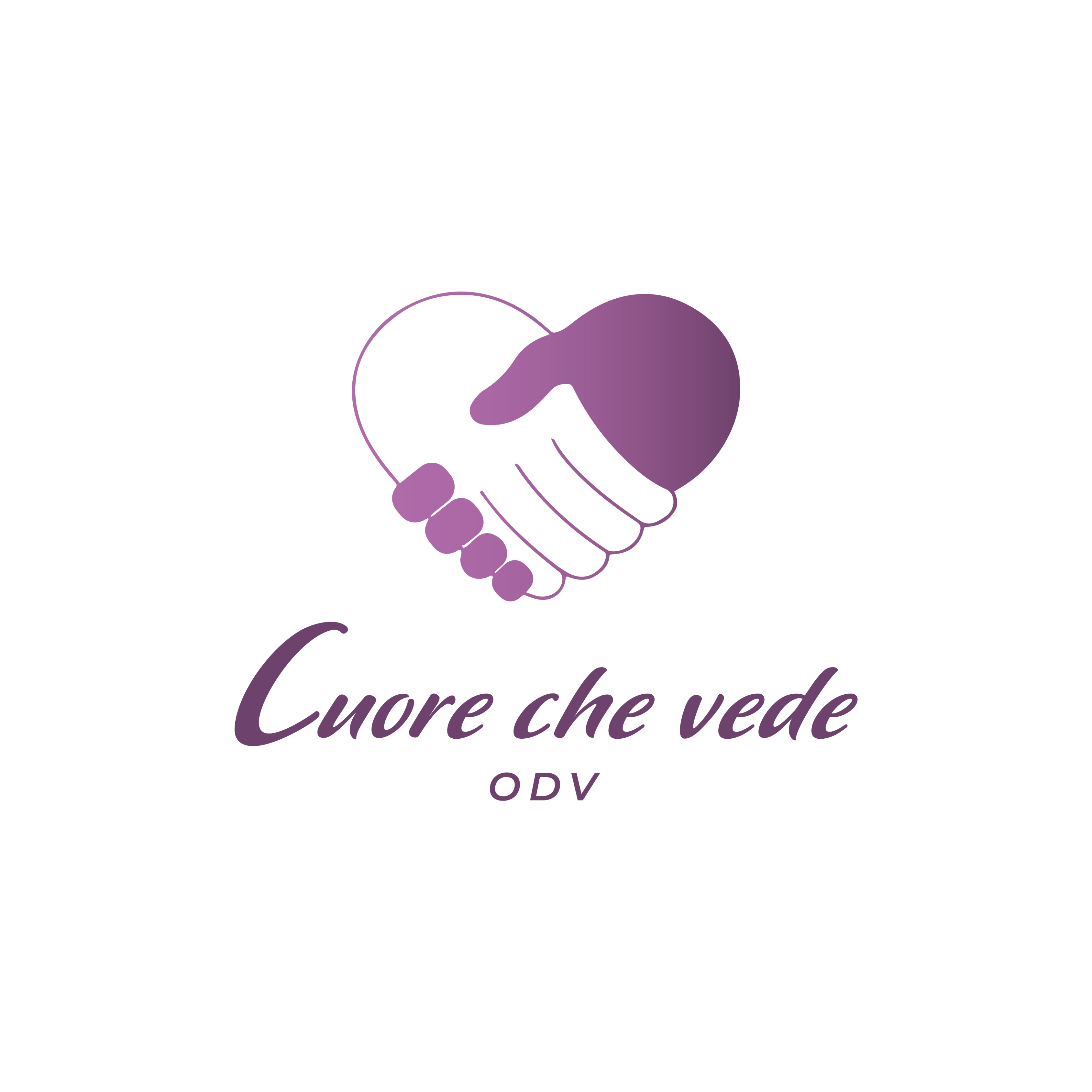 Cuore che Vede odv
